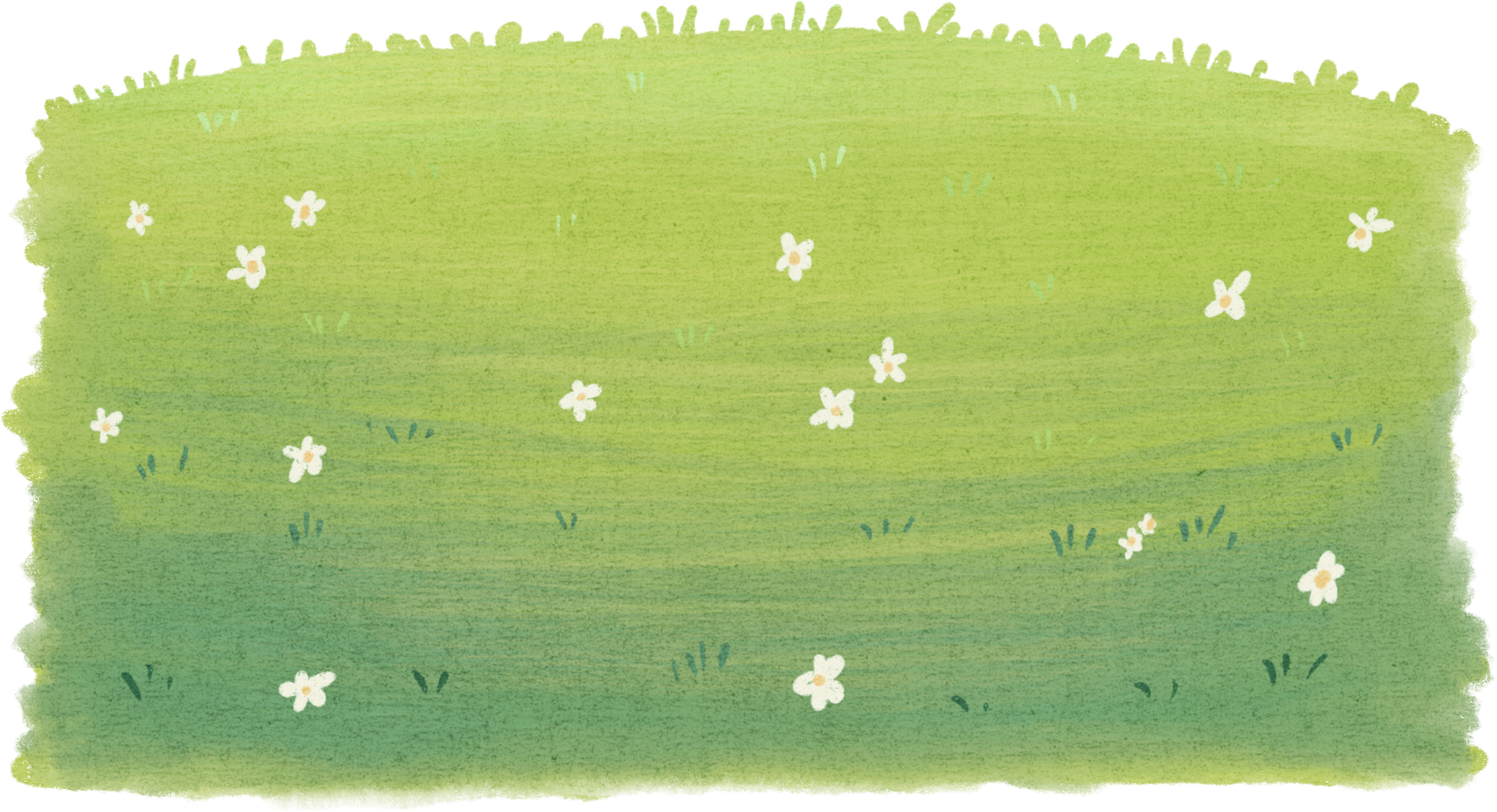 Grass Watercolor Illustration